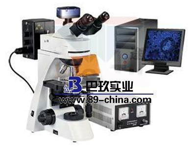 BM-11-2數(shù)碼簡易偏光顯微鏡(裝置）