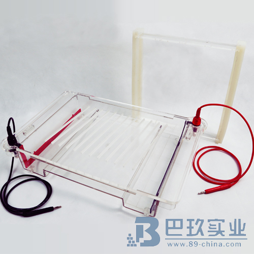 北京六一DYCP-32C型瓊脂糖水平電泳儀(大號(hào))