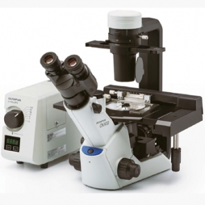 奧林巴斯倒置生物顯微鏡CKX53 Olympus實(shí)驗(yàn)室常規(guī)倒置顯微鏡新品