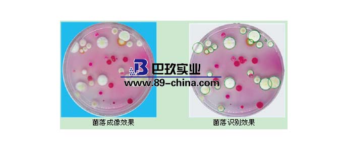菌落計(jì)數(shù)器
